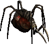 Giant Spider